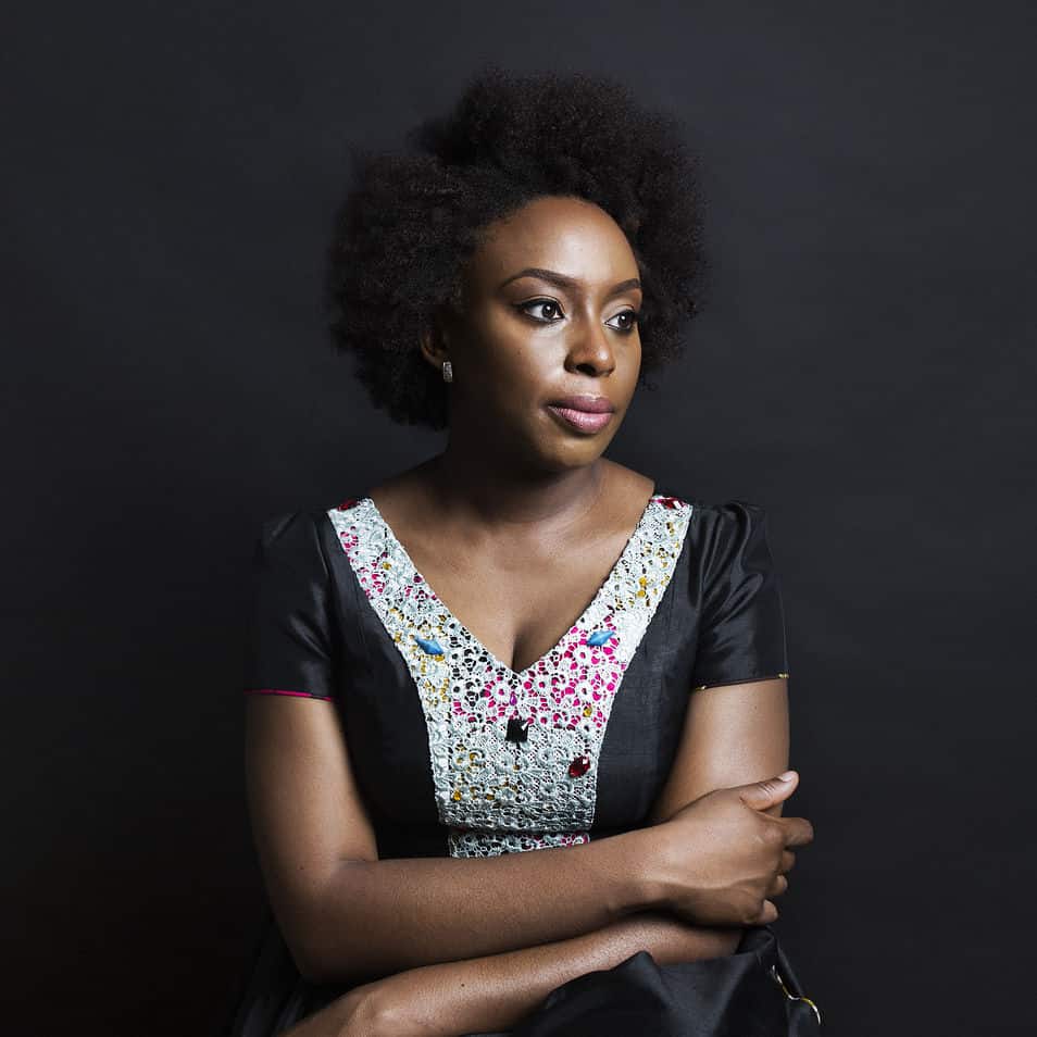 L’Hibiscus Pourpre – Chimamanda Ngozi Adichie